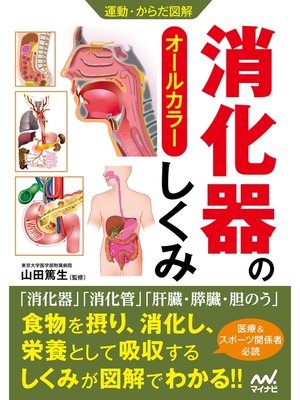 cover image of 運動・からだ図解 消化器のしくみ